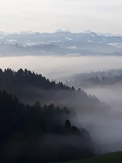 Detail Bergtal Nebel Morgen Stimmungsvoll Number 5