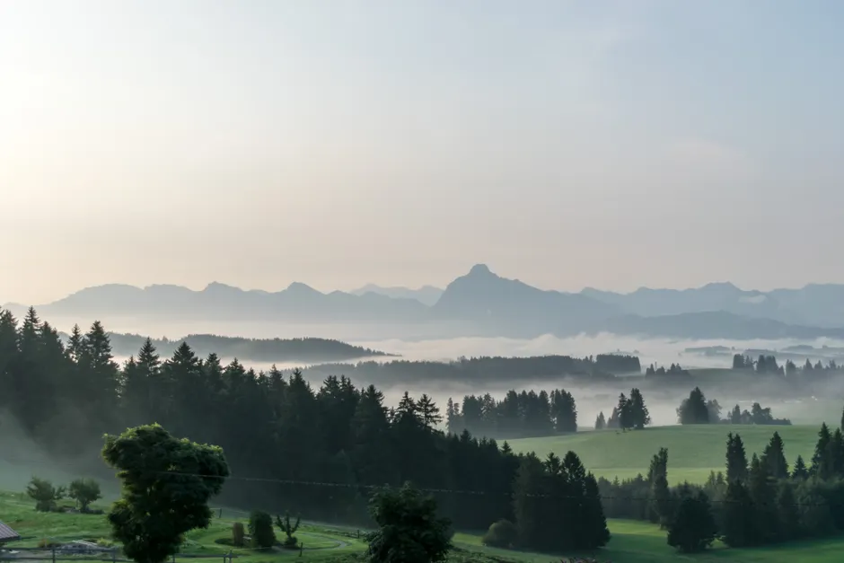 Detail Bergtal Nebel Morgen Stimmungsvoll Number 8