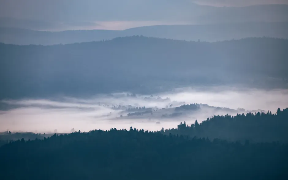 Detail Bergtal Nebel Morgen Stimmungsvoll Number 9