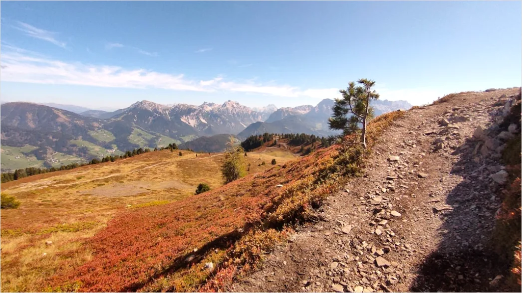 Detail Bergwanderweg Herbst Laub Panorama Number 2