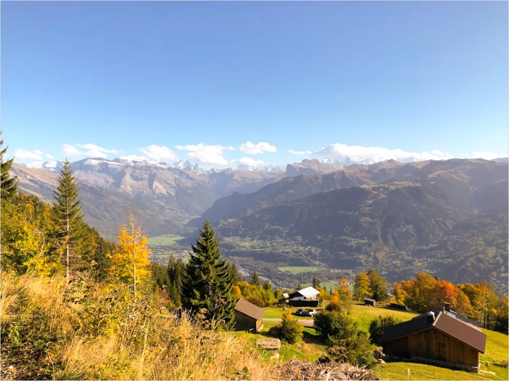 Detail Bergwanderweg Herbst Laub Panorama Number 11