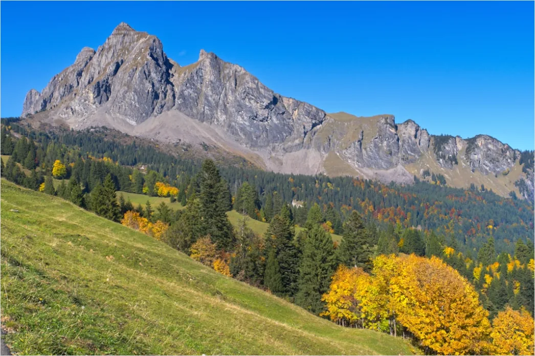 Detail Bergwanderweg Herbst Laub Panorama Number 12