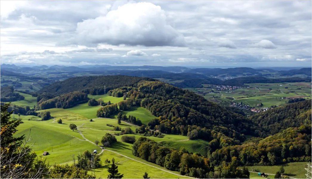 Detail Bergwanderweg Herbst Laub Panorama Number 13