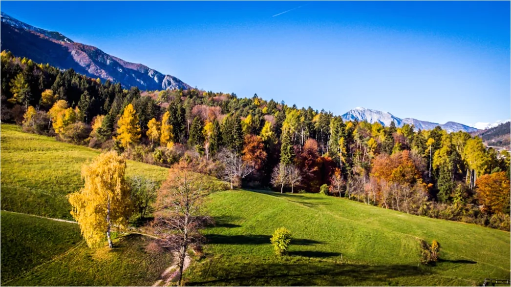 Detail Bergwanderweg Herbst Laub Panorama Number 14
