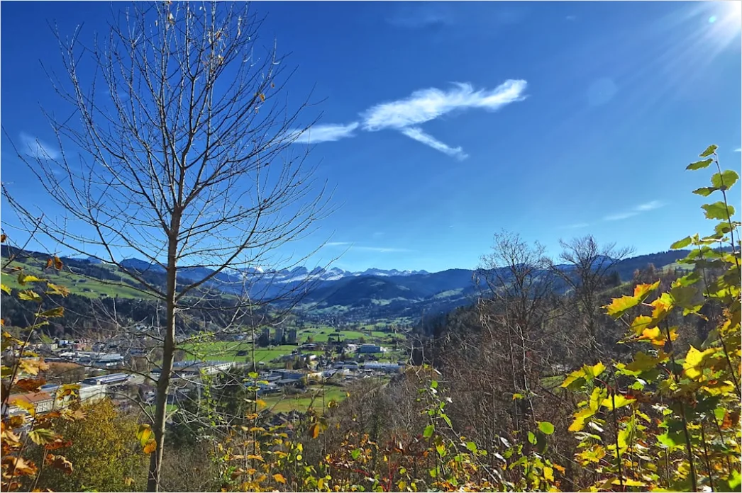 Detail Bergwanderweg Herbst Laub Panorama Number 15