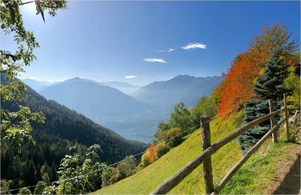 Detail Bergwanderweg Herbst Laub Panorama Number 16