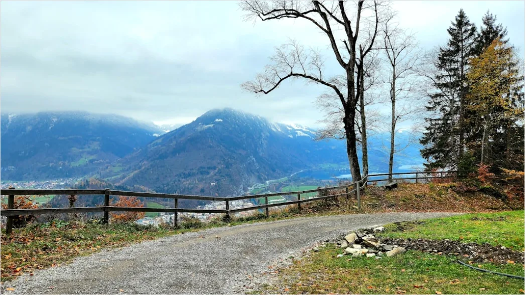 Detail Bergwanderweg Herbst Laub Panorama Number 18