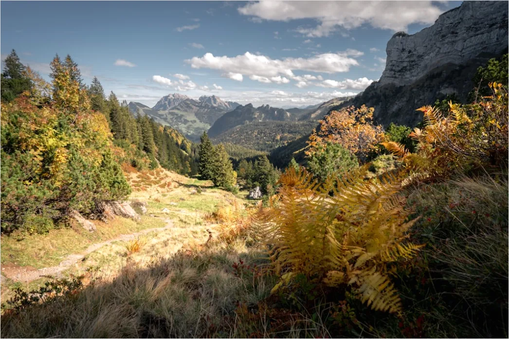 Detail Bergwanderweg Herbst Laub Panorama Number 19