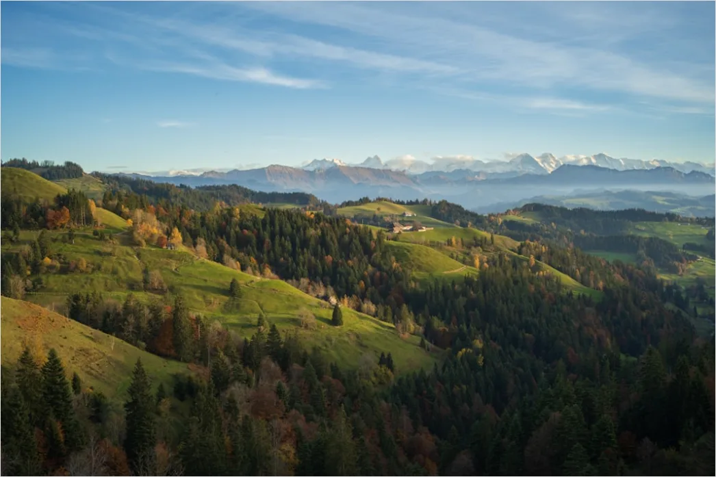 Detail Bergwanderweg Herbst Laub Panorama Number 20