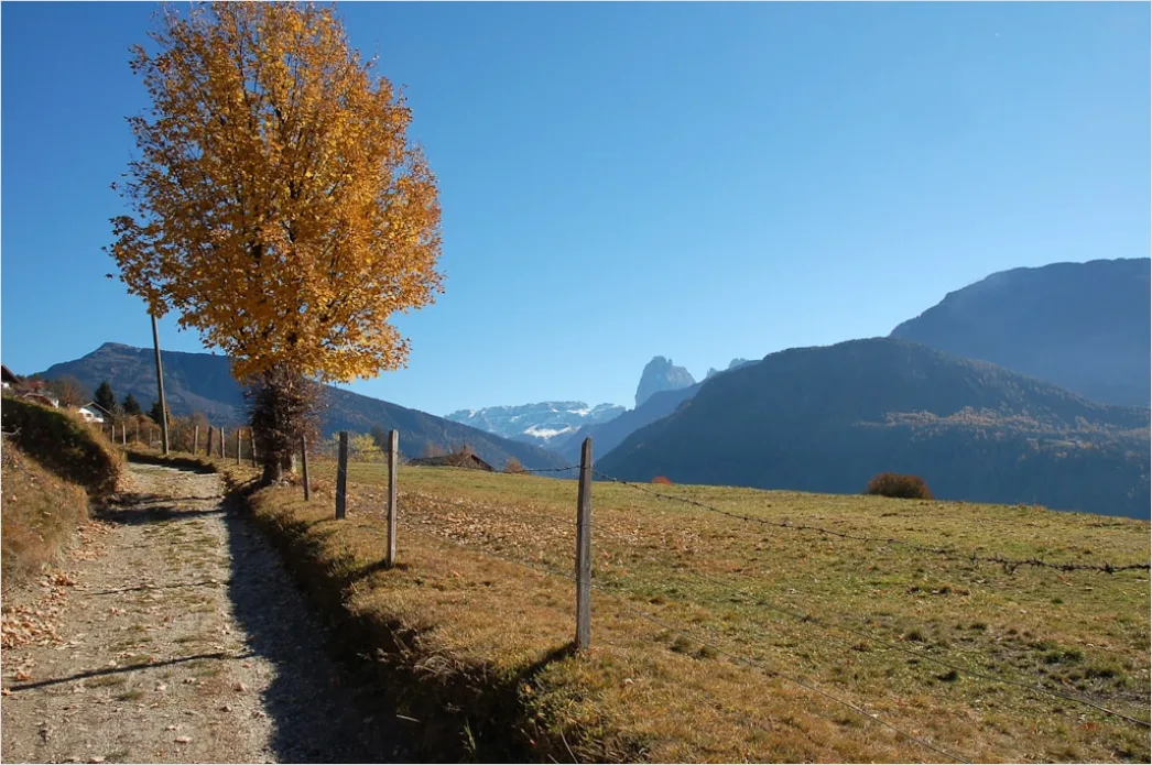 Detail Bergwanderweg Herbst Laub Panorama Number 3