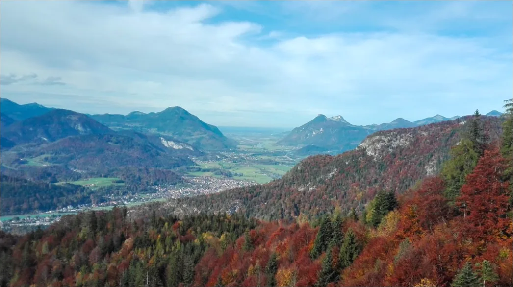 Detail Bergwanderweg Herbst Laub Panorama Number 5