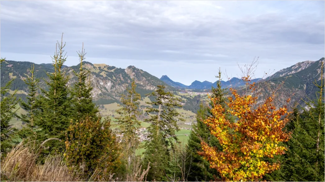 Detail Bergwanderweg Herbst Laub Panorama Number 6