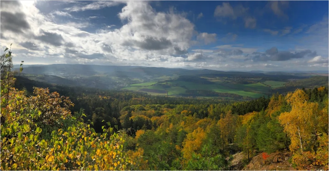 Detail Bergwanderweg Herbst Laub Panorama Number 7