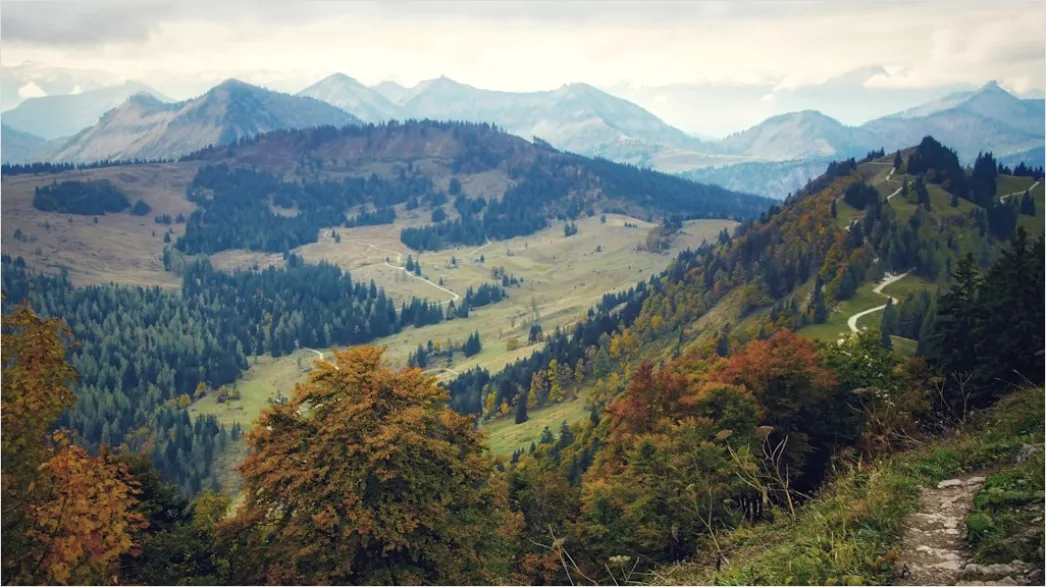 Detail Bergwanderweg Herbst Laub Panorama Number 8