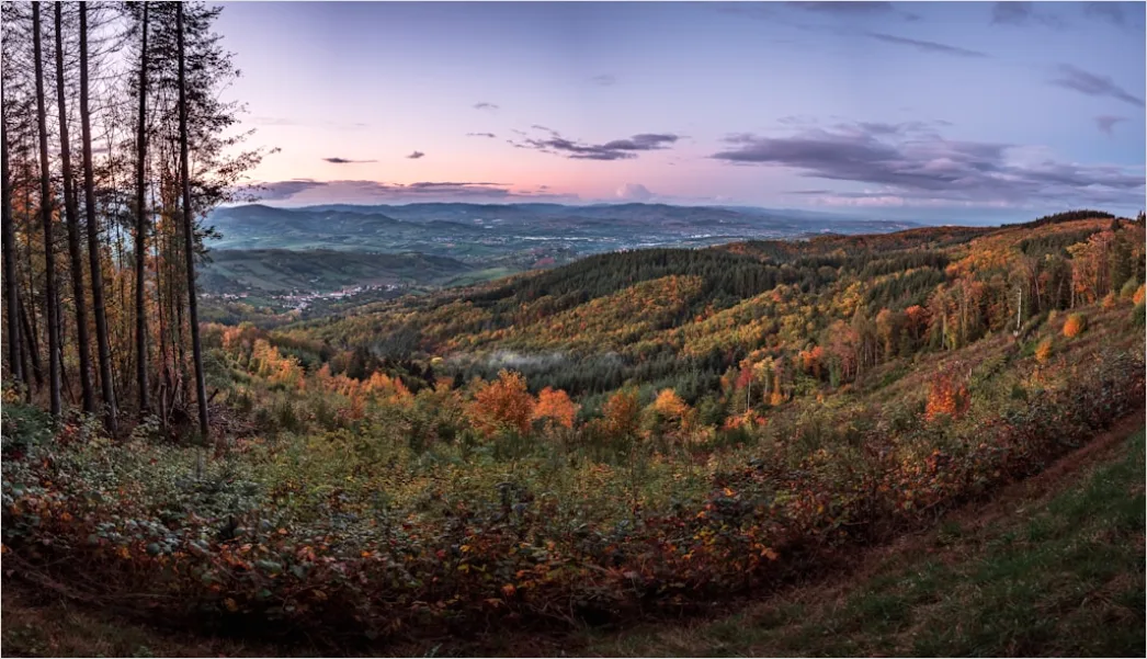 Detail Bergwanderweg Herbst Laub Panorama Number 9