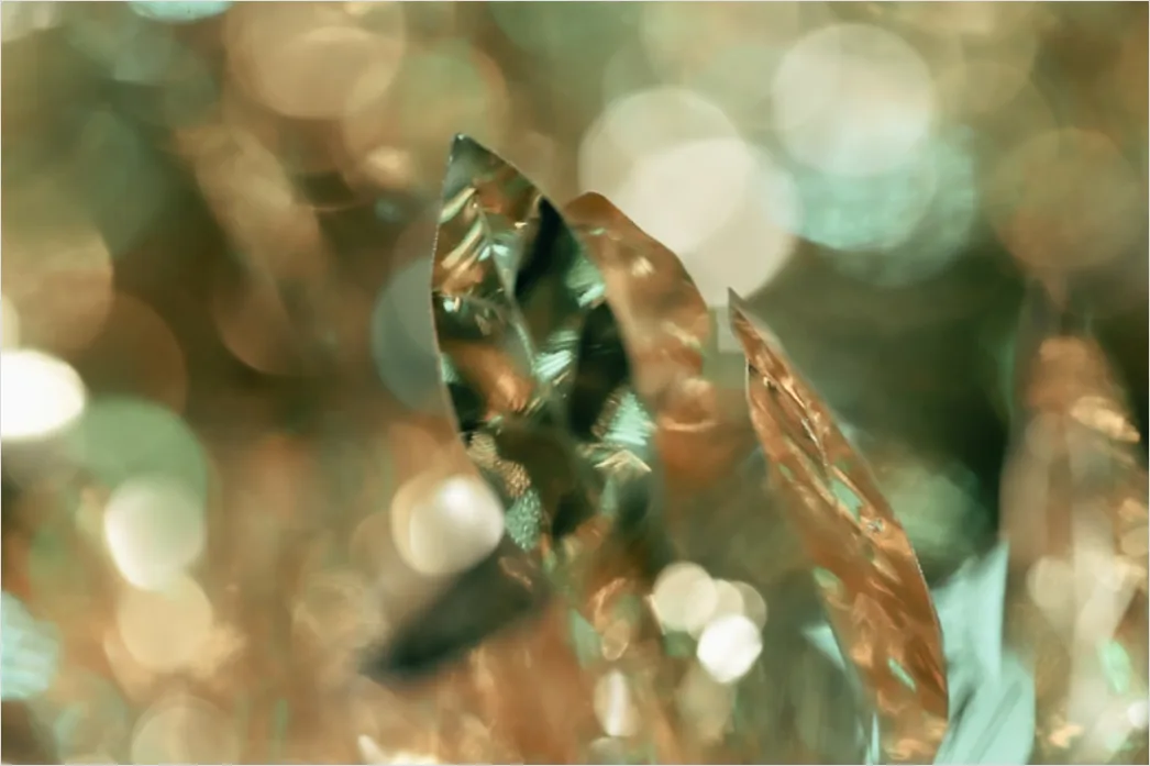 Blume Makro Nahaufnahme Bokeh Hintergrund 4564