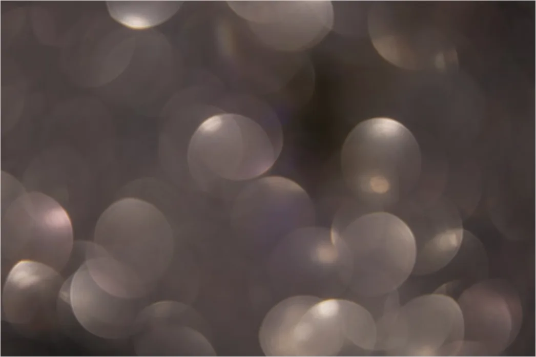 Detail Blume Makro Nahaufnahme Bokeh Hintergrund Number 15