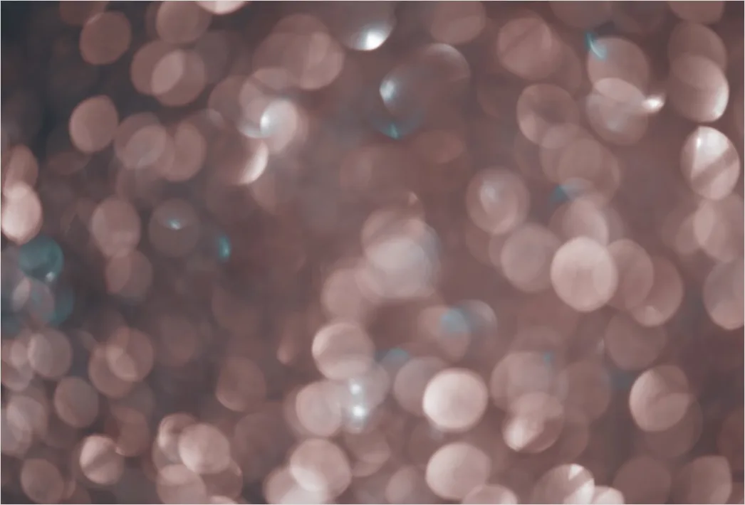Detail Blume Makro Nahaufnahme Bokeh Hintergrund Number 3