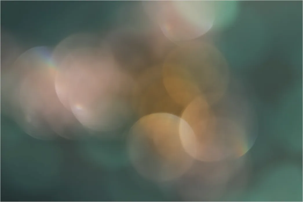 Detail Blume Makro Nahaufnahme Bokeh Hintergrund Number 5