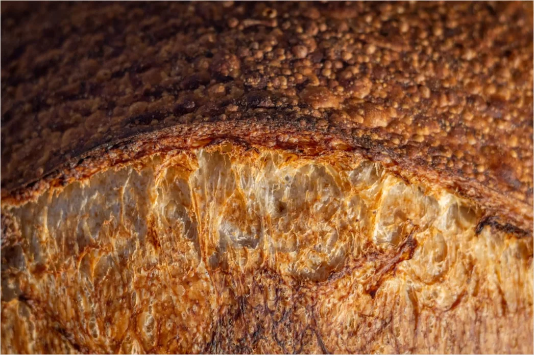 Brot Frisch Gebacken Nahaufnahme Rustikal E949