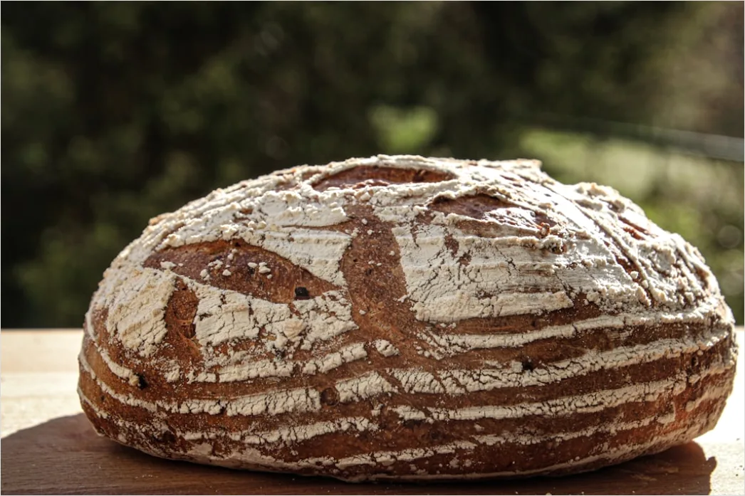 Detail Brot Frisch Gebacken Nahaufnahme Rustikal Number 16