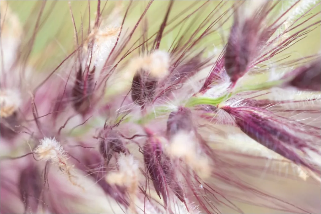 Detail Brotkruste Makro Nahaufnahme Knusprig Number 10