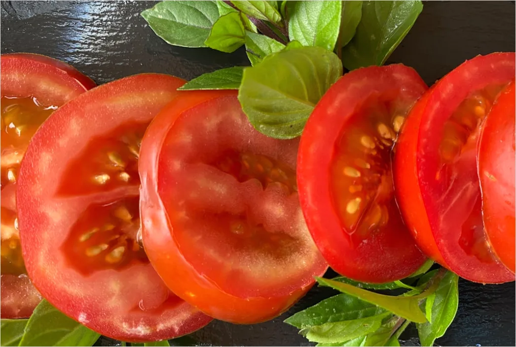 Detail Bruschetta Tomaten Basilikum Nahaufnahme Number 6