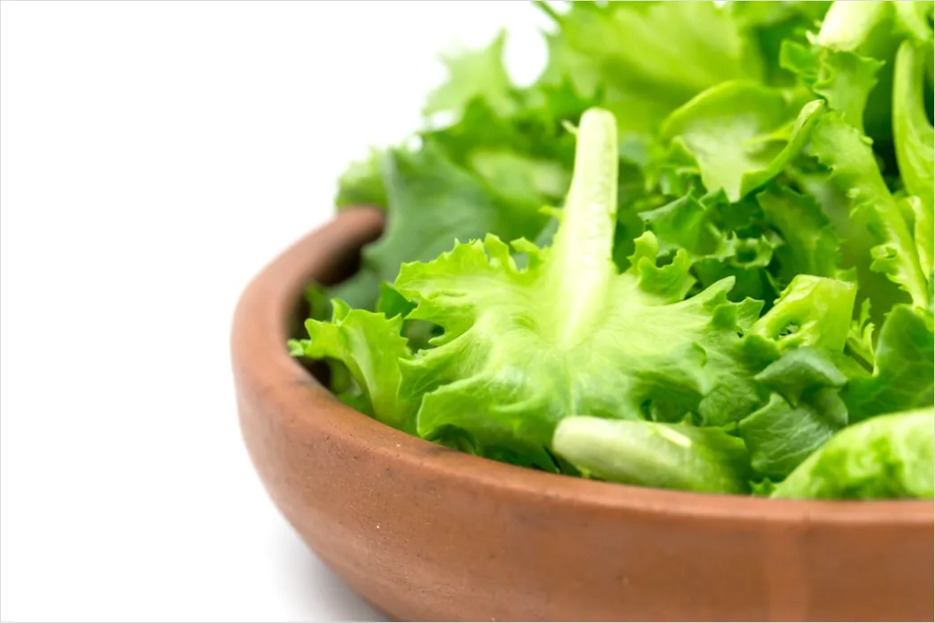 Detail Caesar Salat Teller Nahaufnahme Frisch Number 17