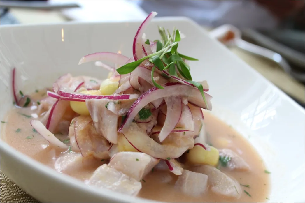 Detail Ceviche Teller Nahaufnahme Frisch Number 2
