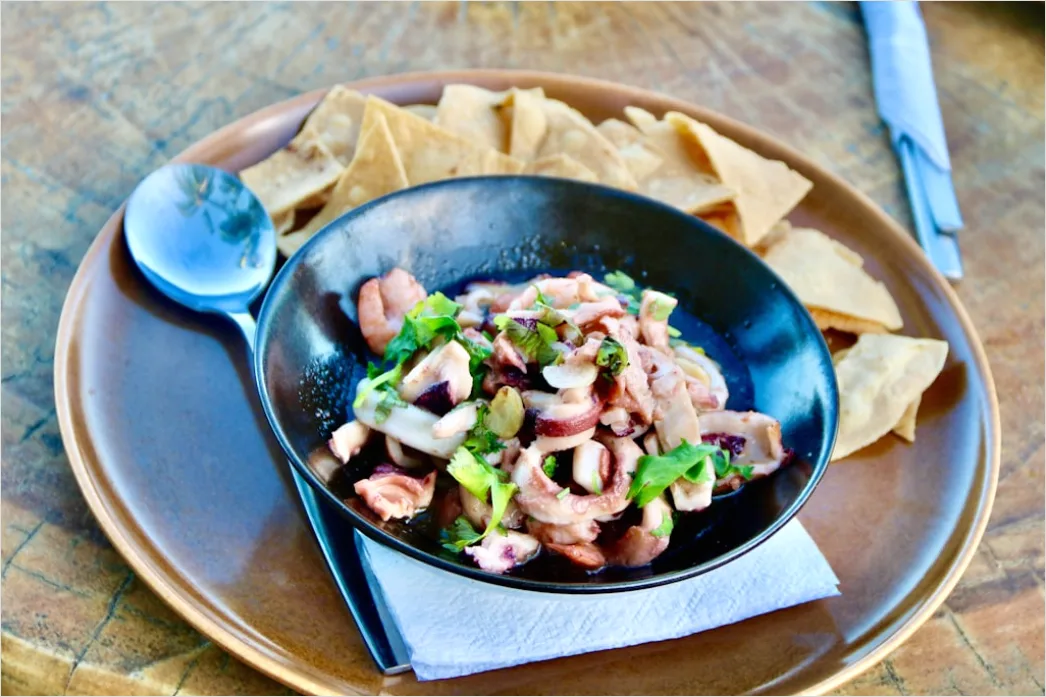 Detail Ceviche Teller Nahaufnahme Frisch Number 13