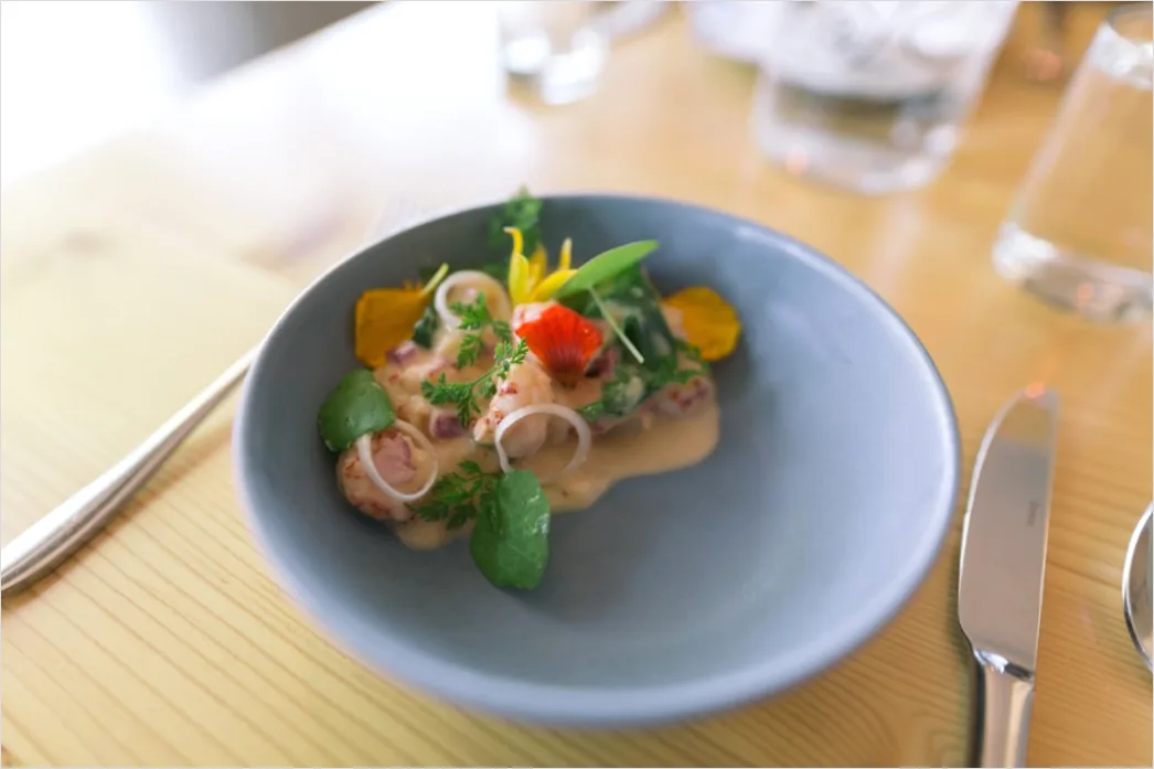 Detail Ceviche Teller Nahaufnahme Frisch Number 14