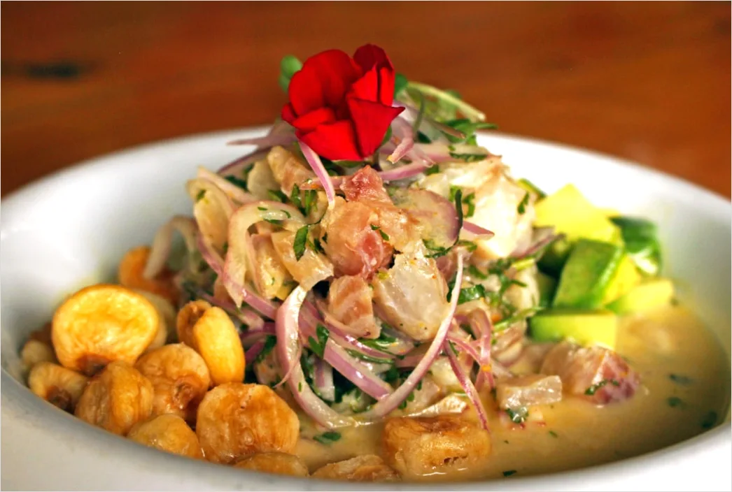 Detail Ceviche Teller Nahaufnahme Frisch Number 5