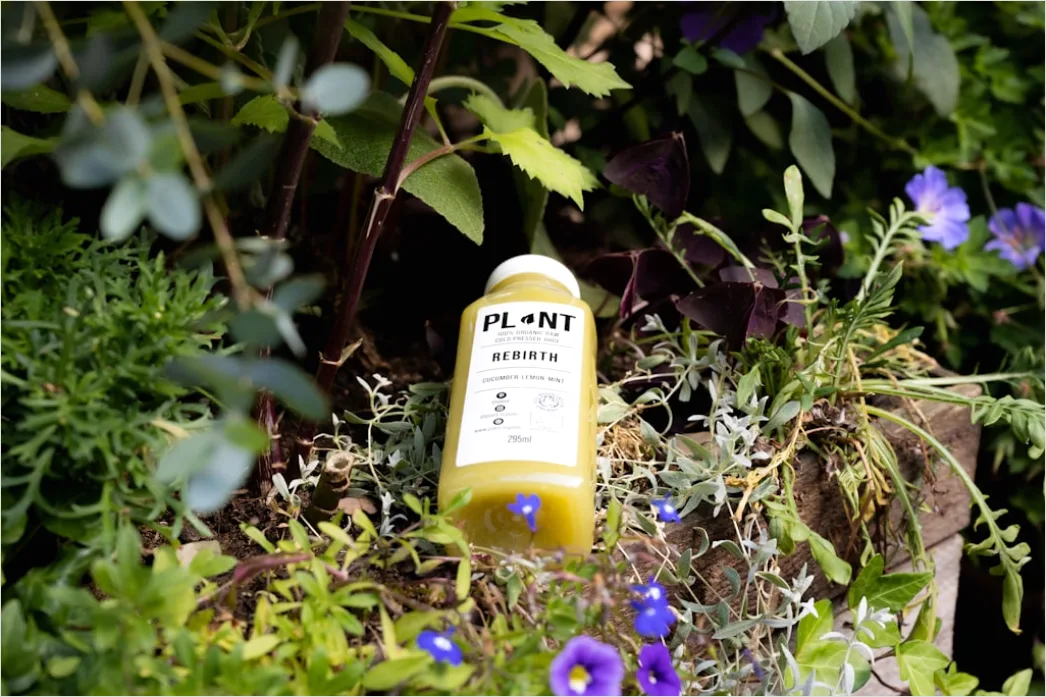 Detail Cold Pressed Juice Flasche Nahaufnahme Number 14
