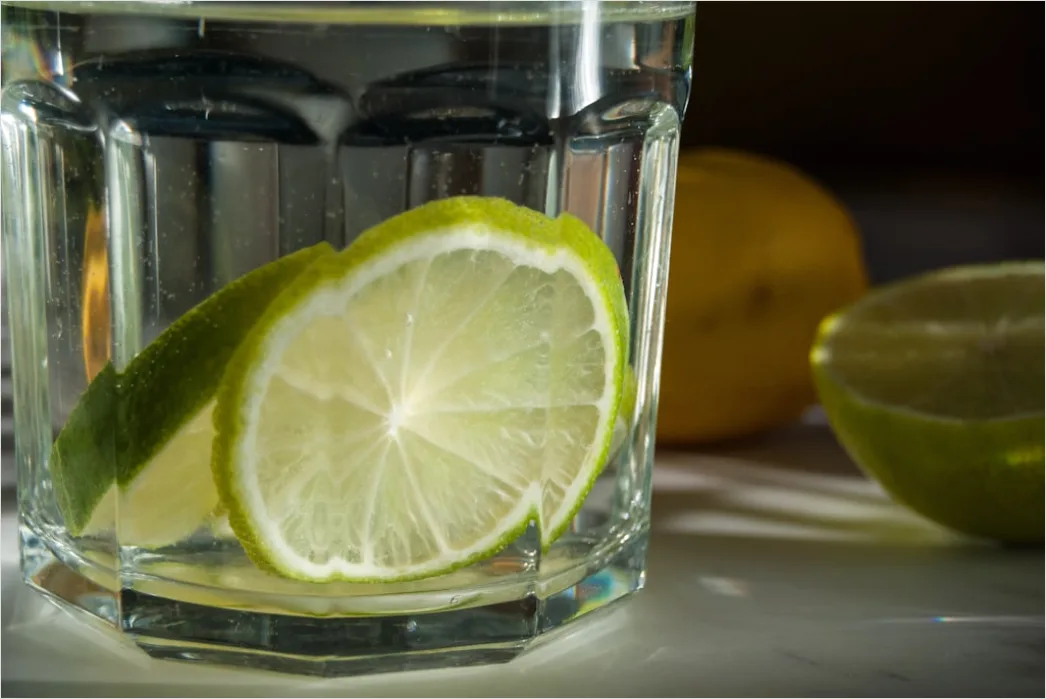 Detail Detox Wasser Gurke Zitrone Minze Glas Number 7