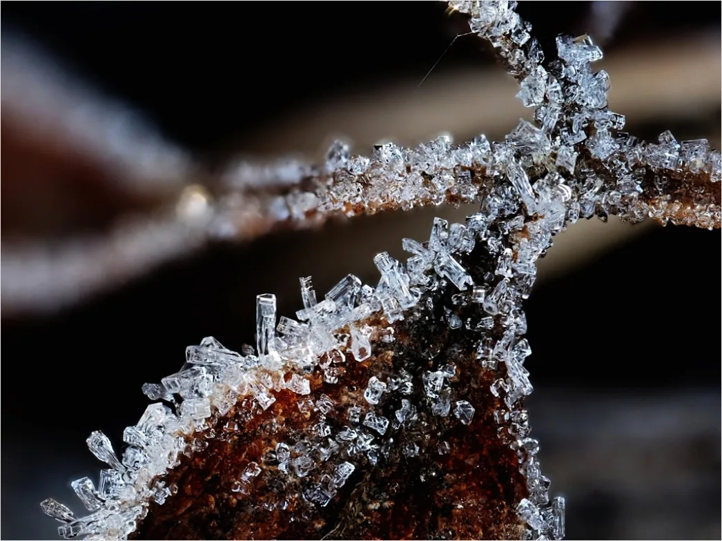 Detail Eis Kristalle Makro Nahaufnahme Winter Number 16