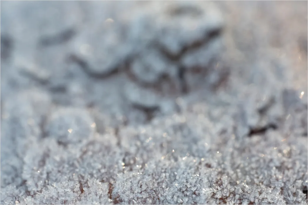 Detail Eis Kristalle Makro Nahaufnahme Winter Number 17