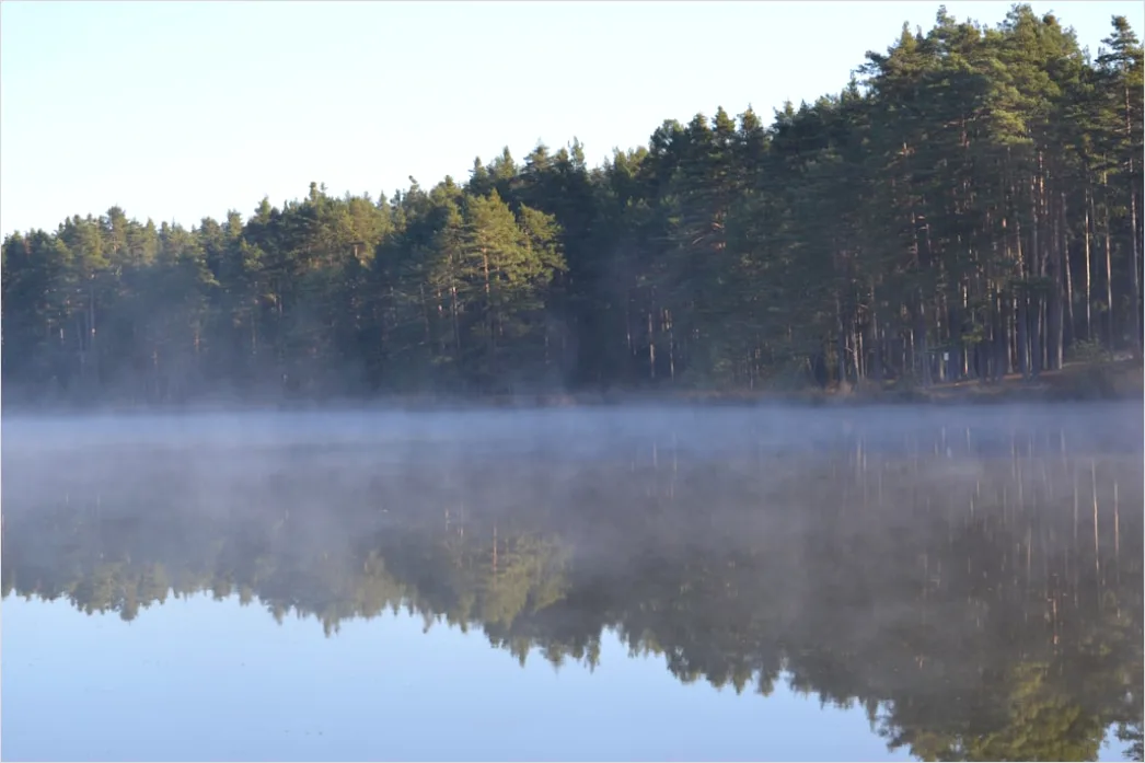 Elch See Morgen Nebel Kanada F510