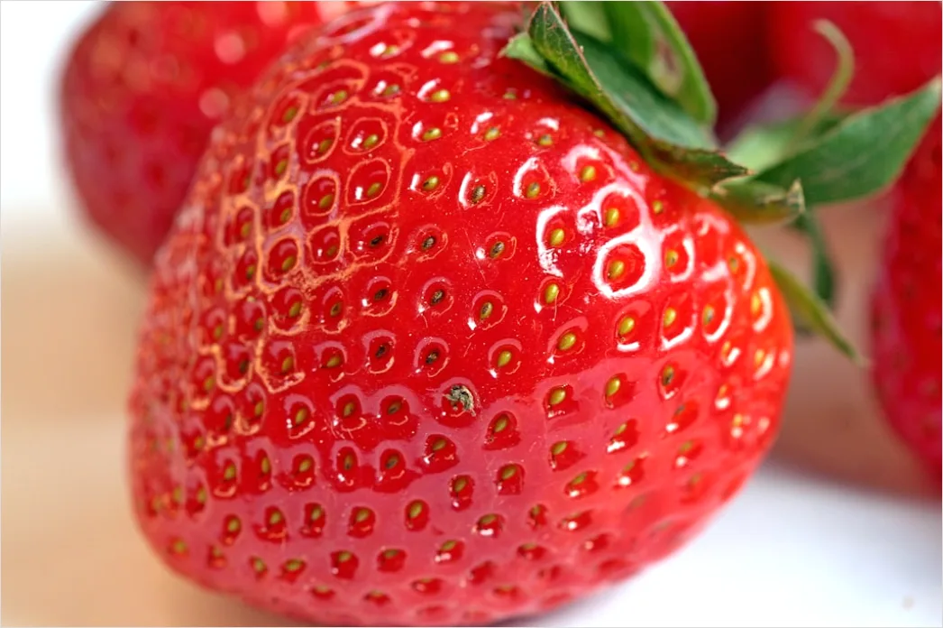 Erdbeere Makro Nahaufnahme Samen Detail 0462