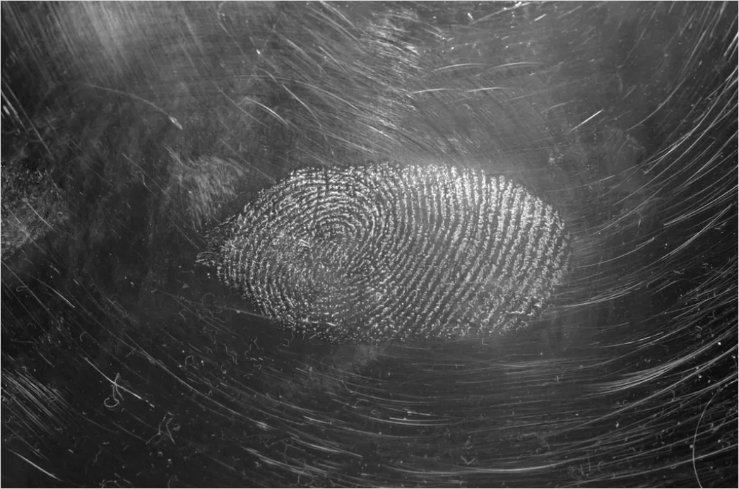 Detail Fingerabdruck Makro Nahaufnahme Linien Number 2
