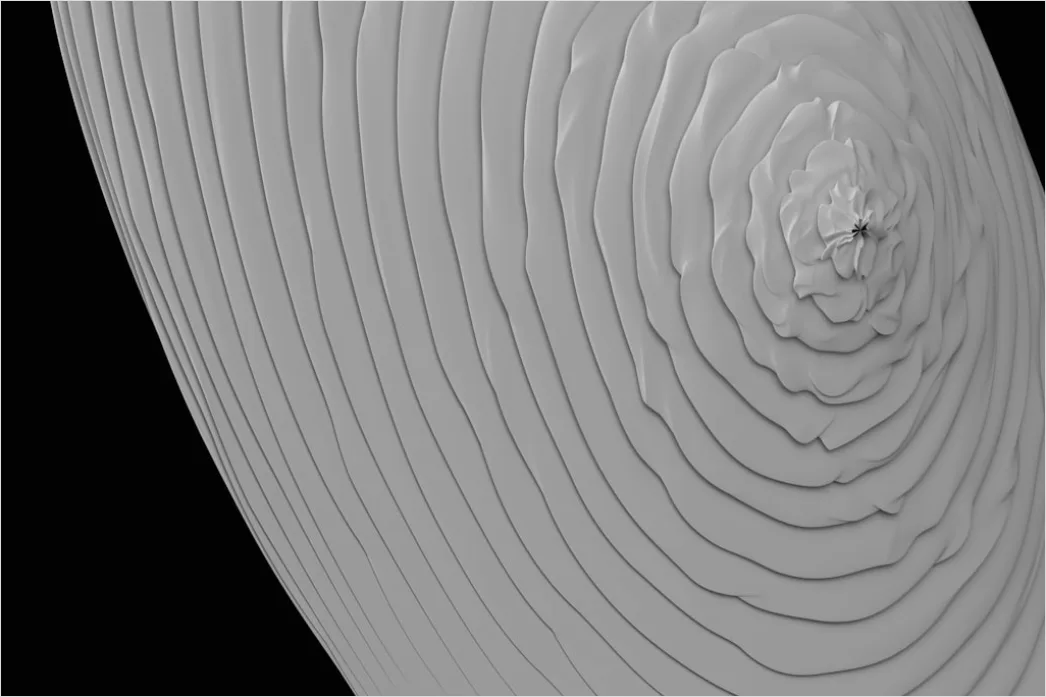 Detail Fingerabdruck Makro Nahaufnahme Linien Number 12