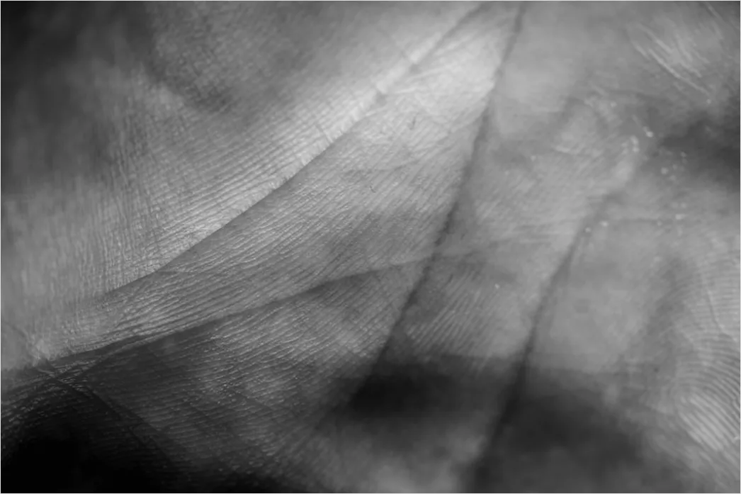 Detail Fingerabdruck Makro Nahaufnahme Linien Number 13