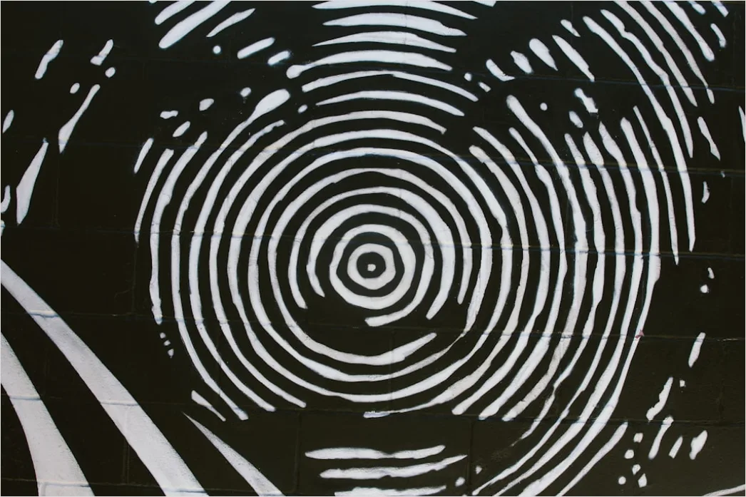 Detail Fingerabdruck Makro Nahaufnahme Linien Number 16