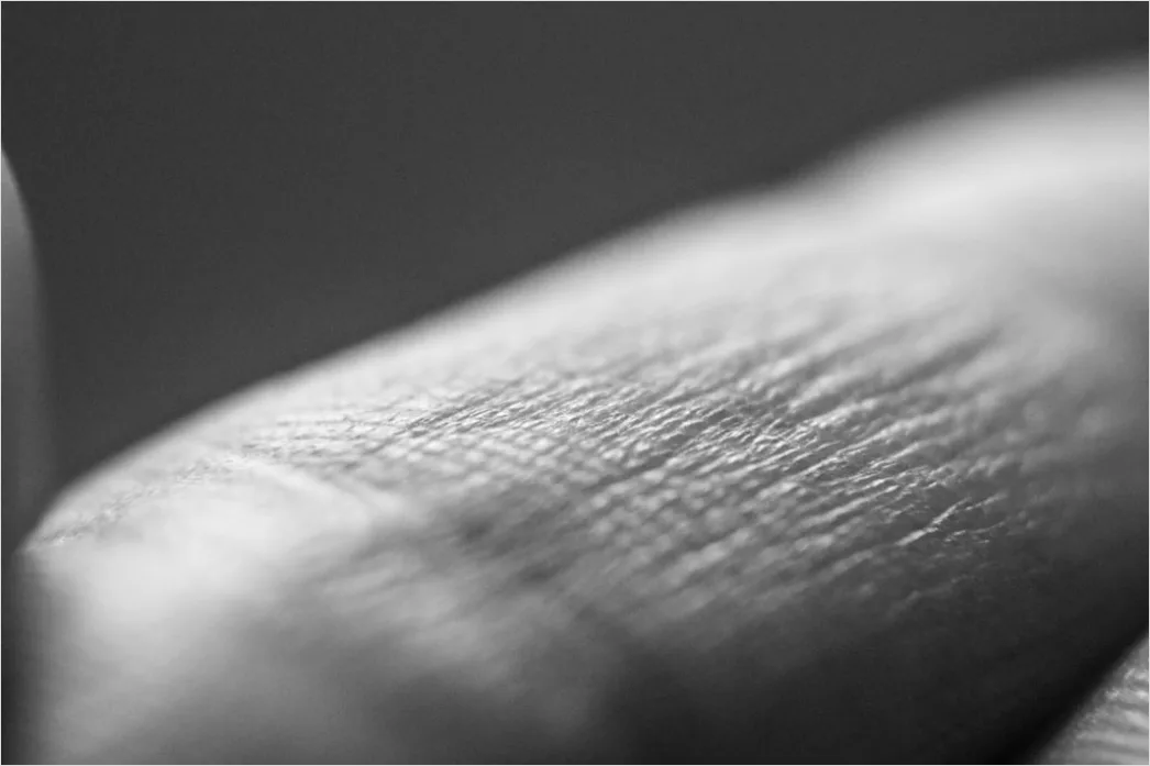 Detail Fingerabdruck Makro Nahaufnahme Linien Number 3