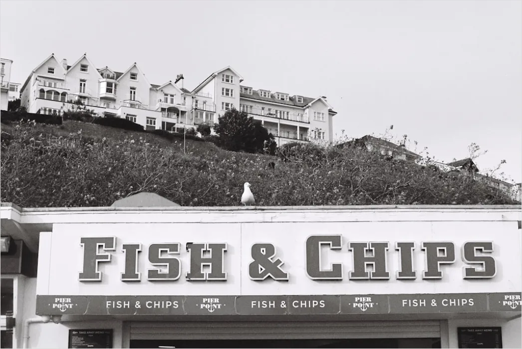 Detail Fisch Und Chips Nahaufnahme Rustikal Number 8
