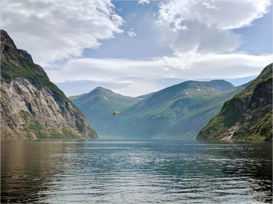 Detail Fjord Norwegen Dramatisch Wasser Berge Number 9