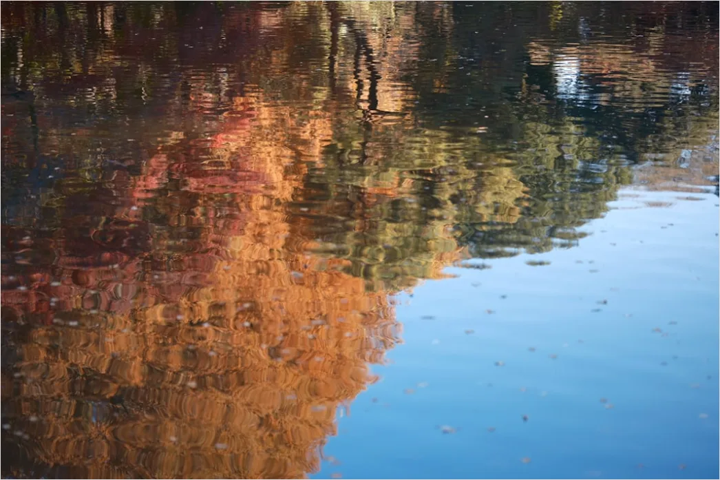 Detail Fluss Herbst Spiegelung Bäume Bunt Number 11