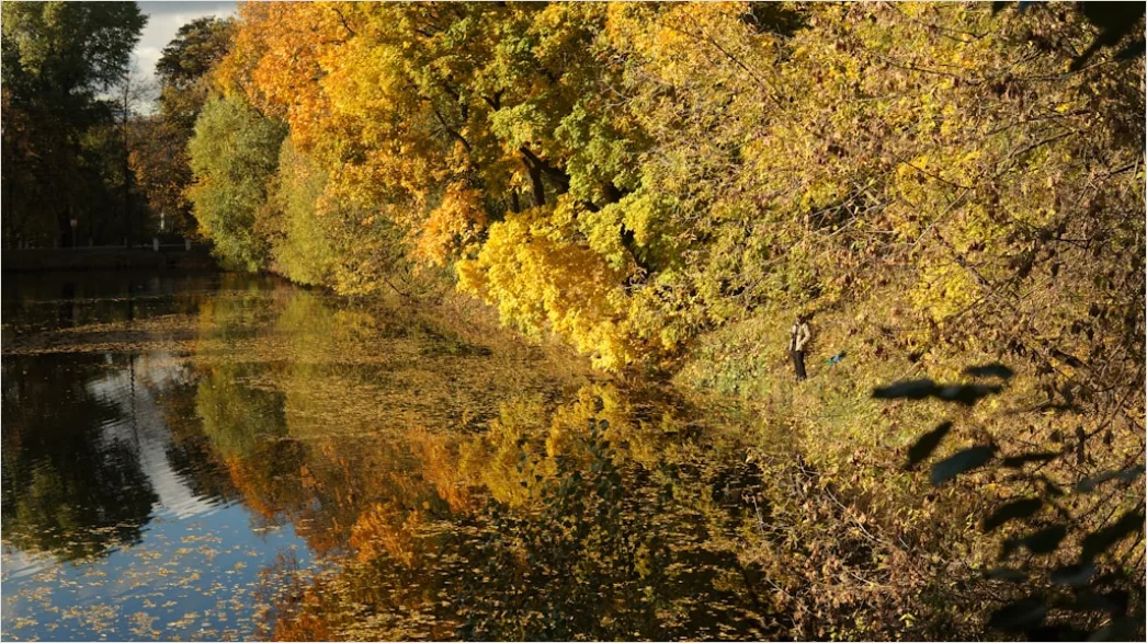 Detail Fluss Herbst Spiegelung Bäume Bunt Number 13
