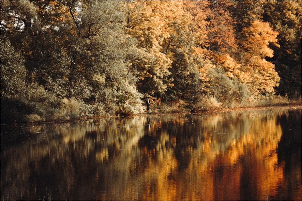 Detail Fluss Herbst Spiegelung Bäume Bunt Number 18