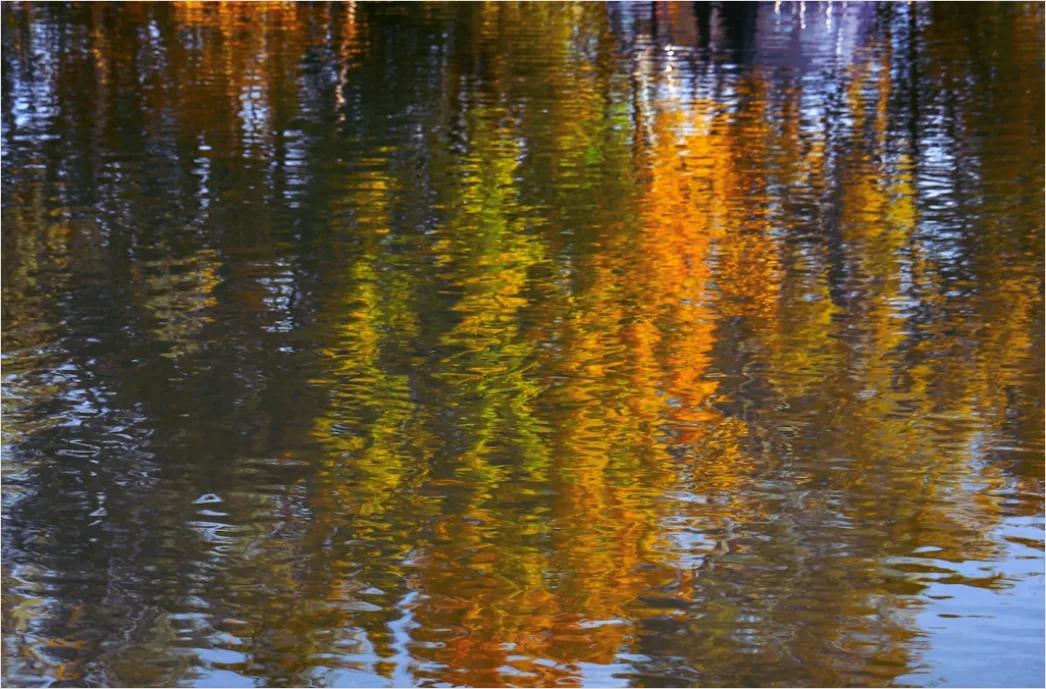 Detail Fluss Herbst Spiegelung Bäume Bunt Number 19