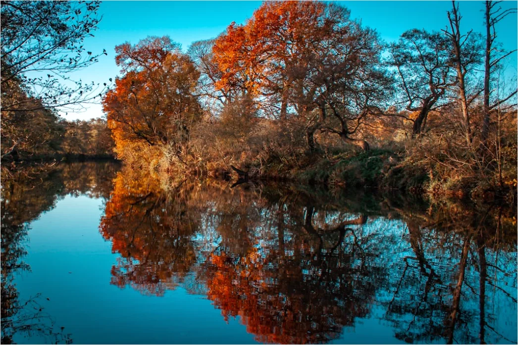 Detail Fluss Herbst Spiegelung Bäume Bunt Number 3